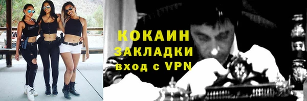 крисы Баксан