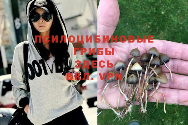 МДПВ Беломорск