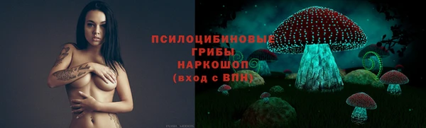 крисы Баксан