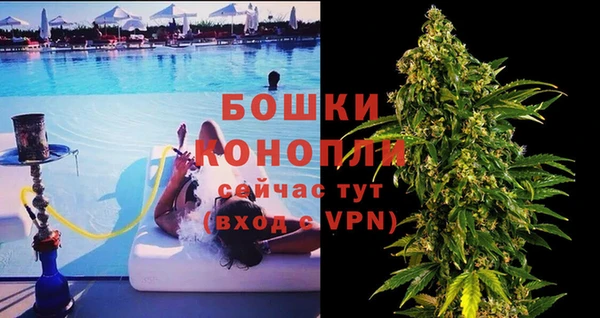 крисы Баксан