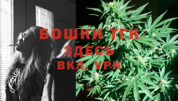 крисы Баксан