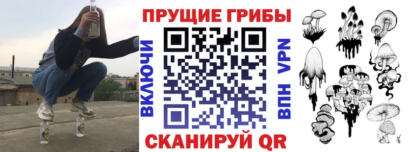 Псилоцибиновые грибы Psilocybe  Ершов 